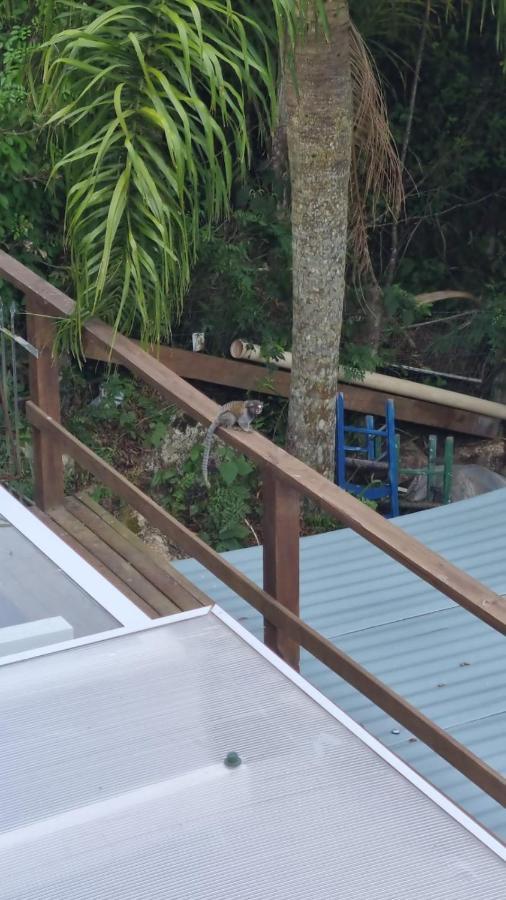 Holiday home Good Vibes Com Jacuzzi E Vista O Mar Chacarailhadamagia Florianopolis